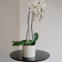 Vaso Minimalista P/ Decora��o de Luxo Modelo SC38 Artesanal